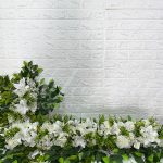 Locação Kit Arranjos de Flores em Branco